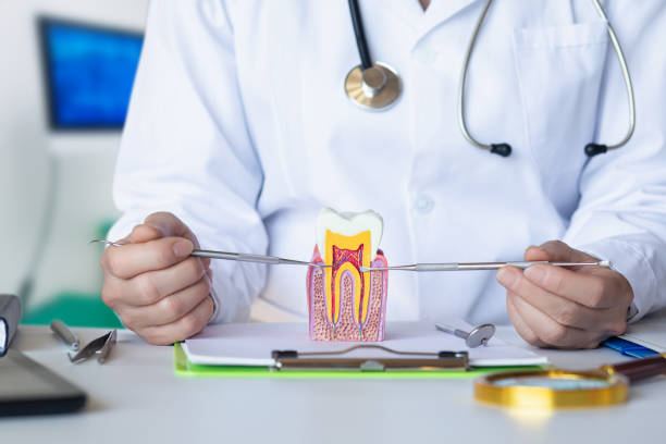 Best Cracked Tooth Emergency Dentist  in Independence, KS